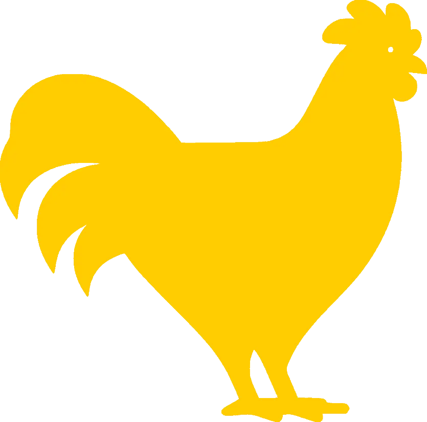 chicken poultry